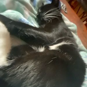 Meet your Posher, Caleb